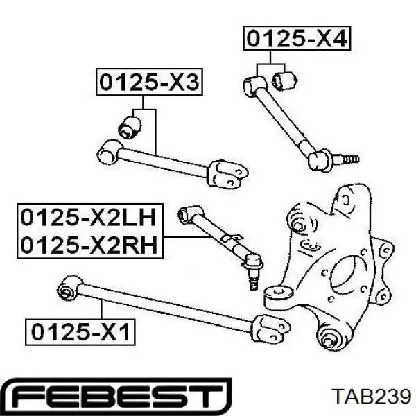 Silentblock de brazo transversal de suspensión trasera TAB239 Febest