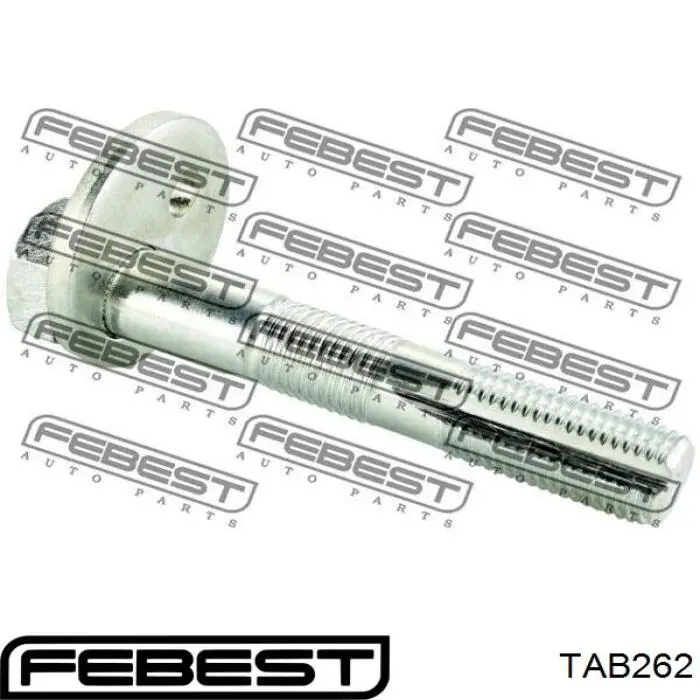 Buje de mangueta trasera Febest TAB262