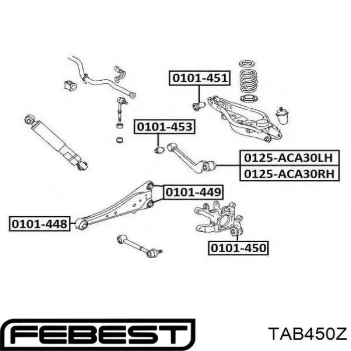 Buje de mangueta trasera TAB450Z Febest