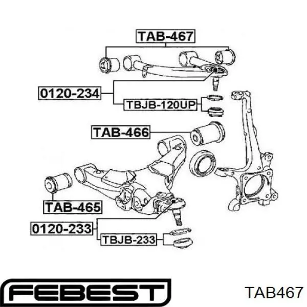 TAB467 Febest silentblock de brazo de suspensión delantero superior
