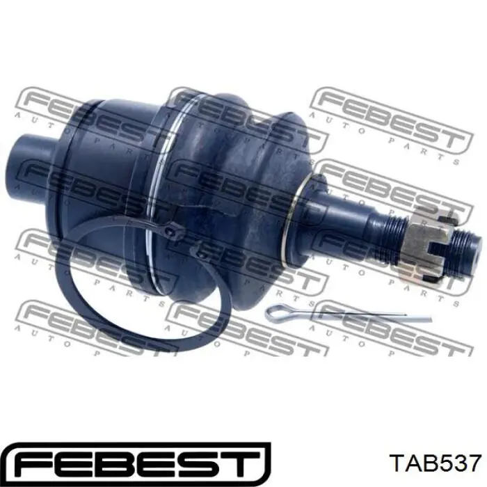 Buje del brazo inferior trasero Febest TAB537 precio, desde 49,97 EUR