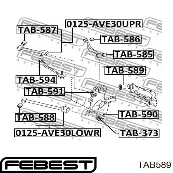 Buje del brazo inferior trasero Febest TAB589 precio, desde 18,06 EUR
