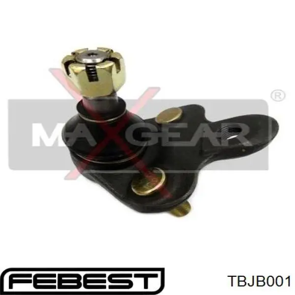 Comprar TBJB001 Febest Guardapolvo de rótula inferior