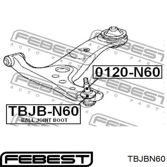 TBJBN60 Febest rotula de suspension