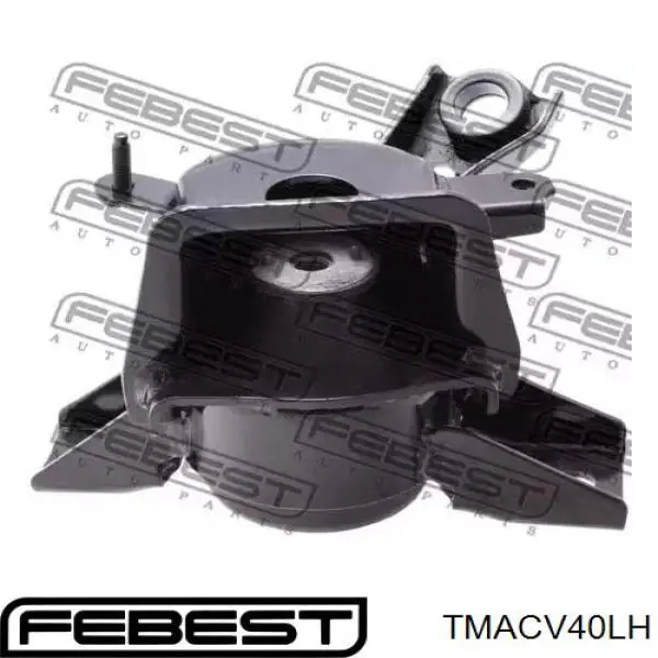 TM-ACV40LH Febest soporte motor izquierdo