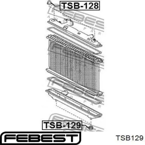 Soporte del radiador inferior para Toyota RAV4 (A3)