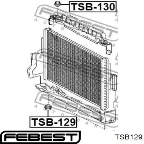 Comprar TSB129 Febest Soporte inferior de fijación del radiador