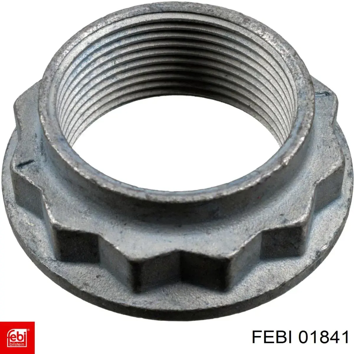 Comprar 01841 Febi Tuerca del cubo de rueda trasera