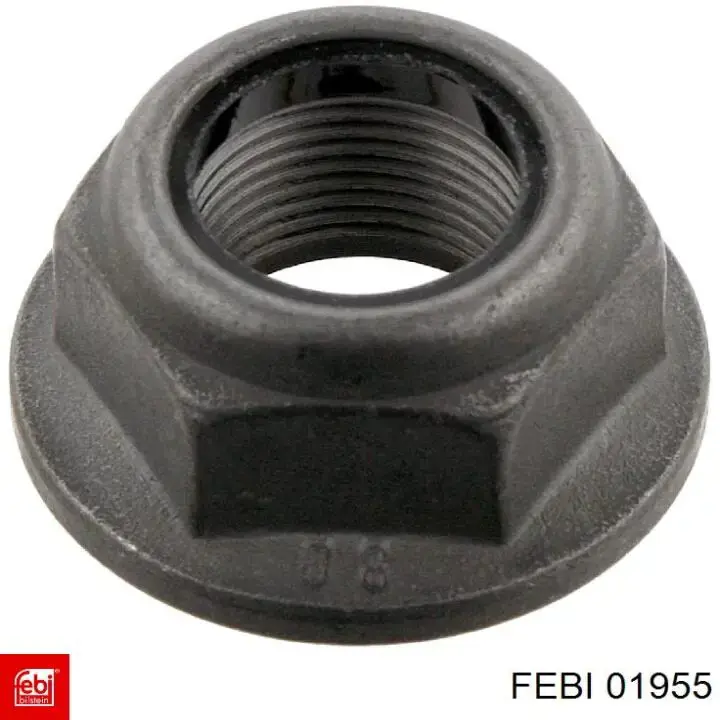Comprar 01955 Febi Soporte de motor, Izquierda / Derecha