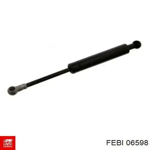Amortiguador de la bomba de alta presión Febi 06598 precio, desde 34,55 EUR