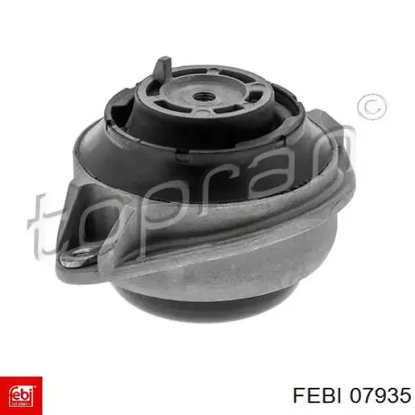 Soporte izquierdo del motor Febi 07935 precio, desde 48,61 EUR