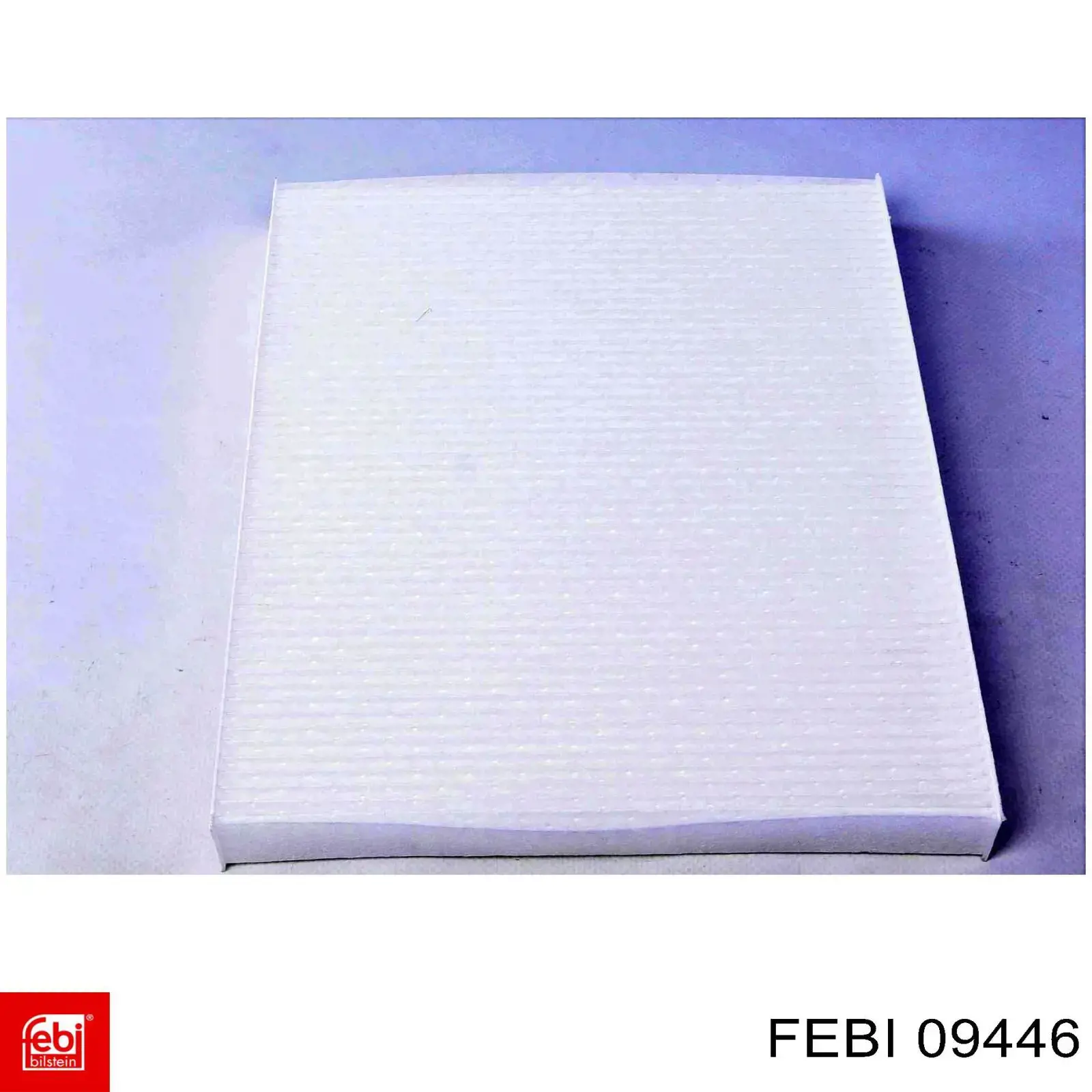 09446 Febi Filtro antipolen