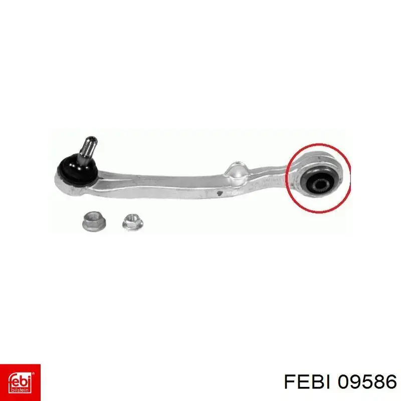 Comprar 9586 Febi Cadena de la Bomba Aceite