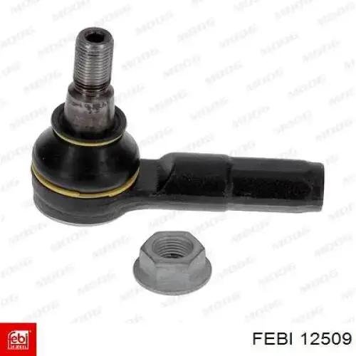Soporte de motor, Izquierda / Derecha 12509 Febi