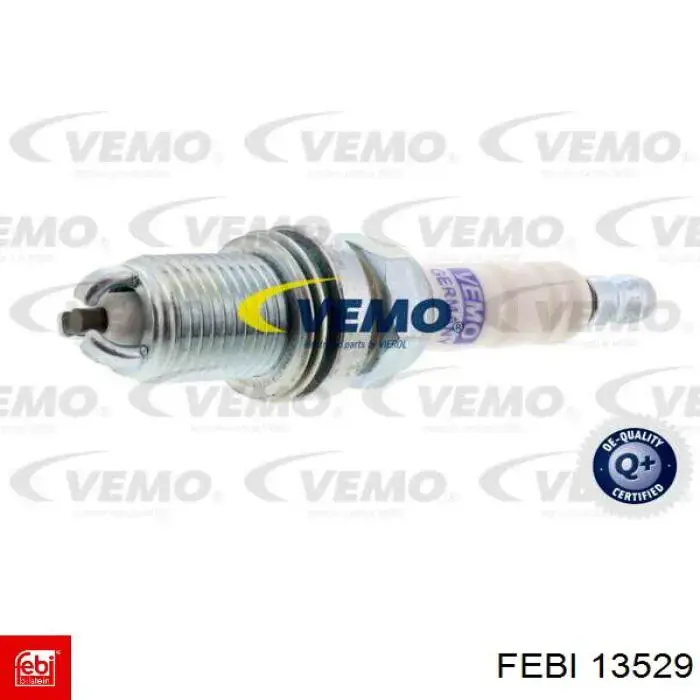 13529 Febi