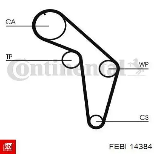 14384 Febi Correa dentada