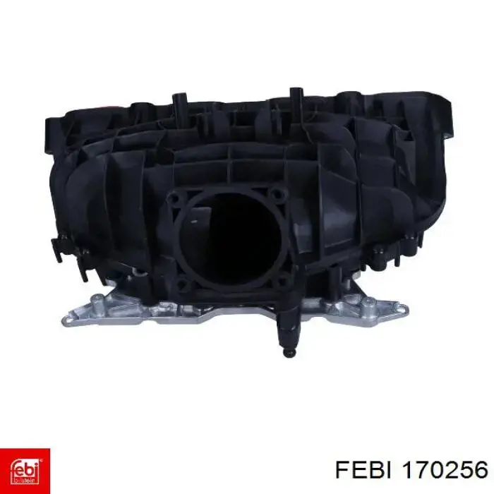 Comprar 170256 Febi Tensor de correa poli V 
