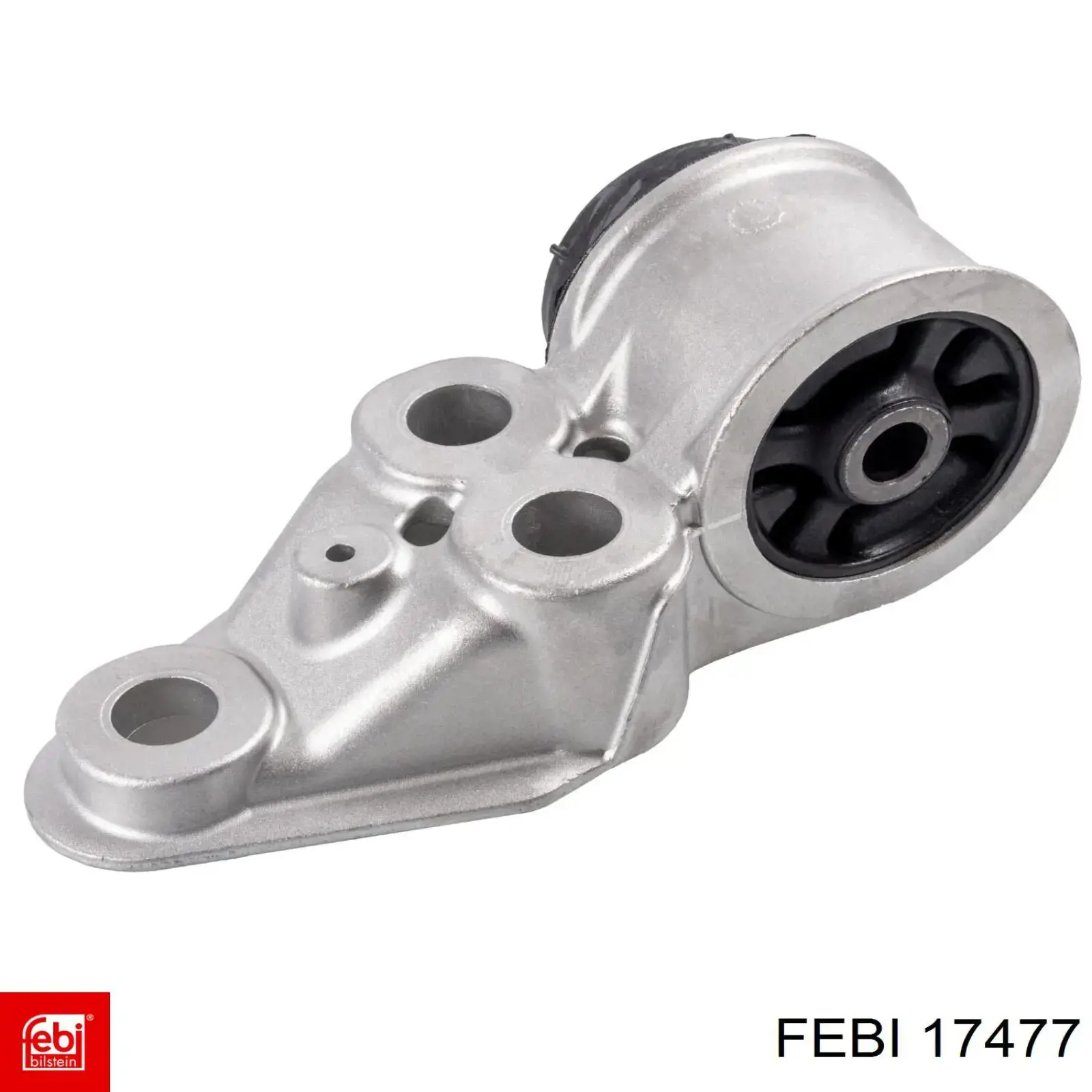 17477 Febi Correa dentada