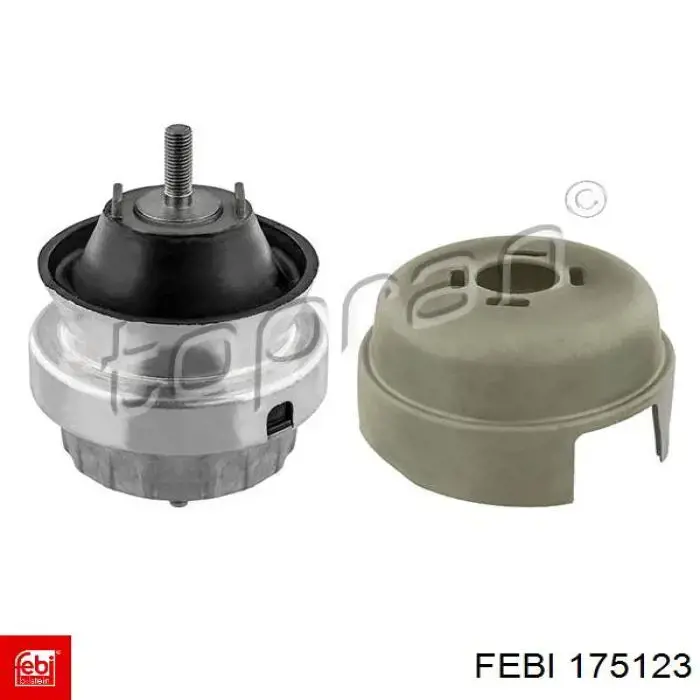 Protector de disco de freno trasero izquierdo A2124202144 Mercedes