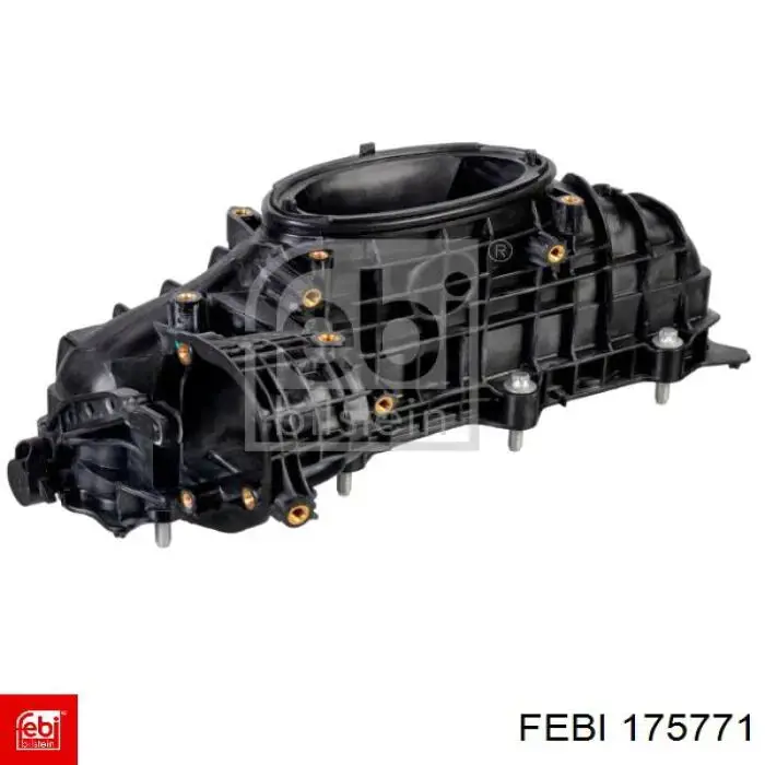 Comprar 175771 Febi Colector de admisión