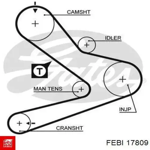 17809 Febi correa distribucion