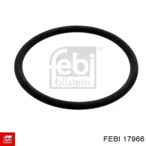 Junta, termostato Volkswagen Passat 3C2