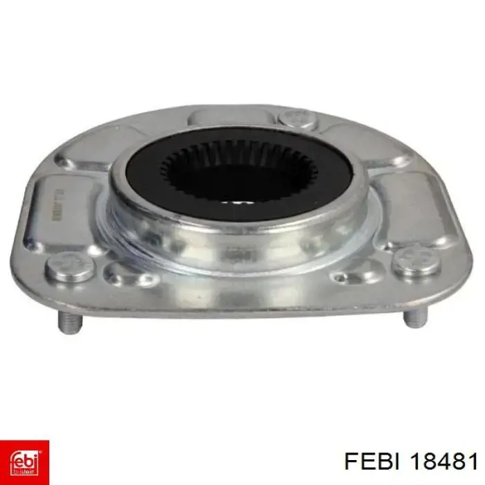  Febi 18481