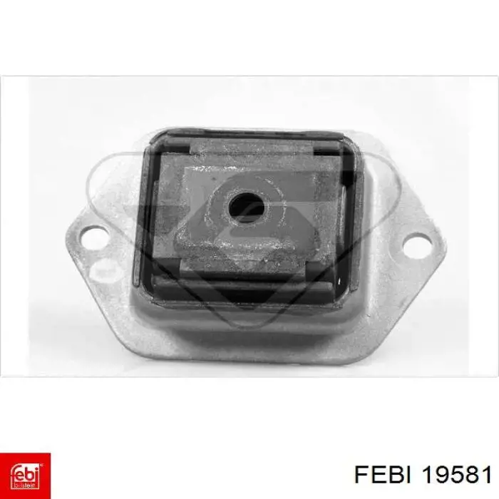 19581 Febi 