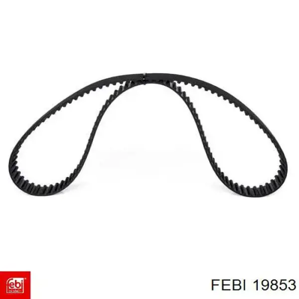 Correa distribucion Nissan Qashqai 1 J10