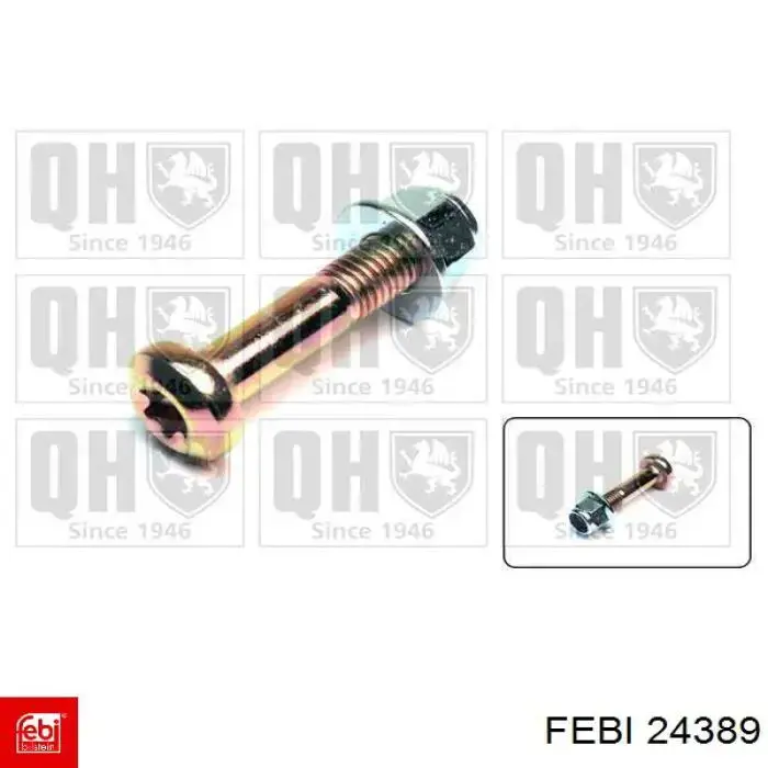  Febi 24389 precio, desde 6,13 EUR