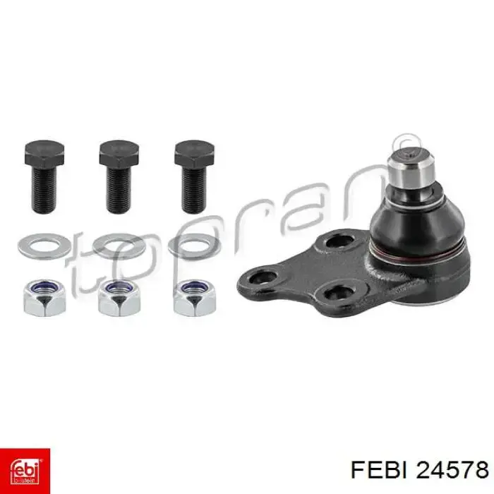  Febi 24578