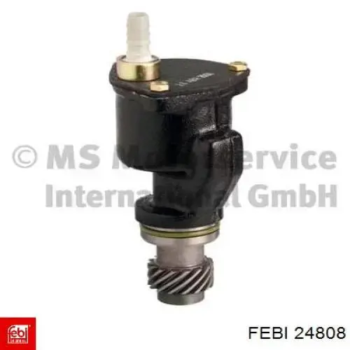  24808 Febi