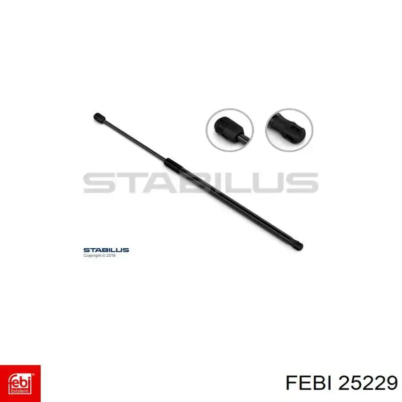 Comprar 25229 Febi Cadena de la Bomba Aceite