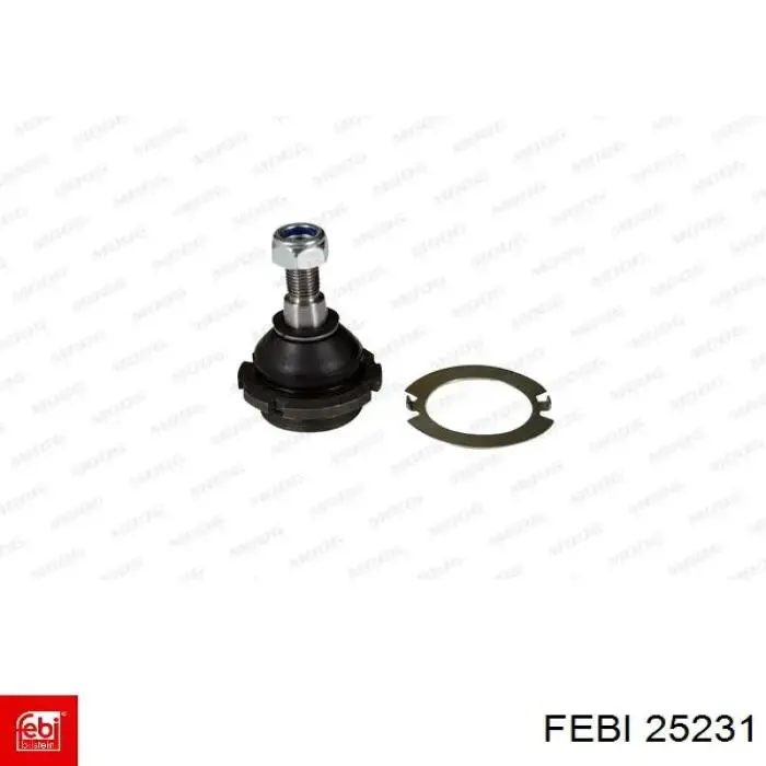  Febi 25231