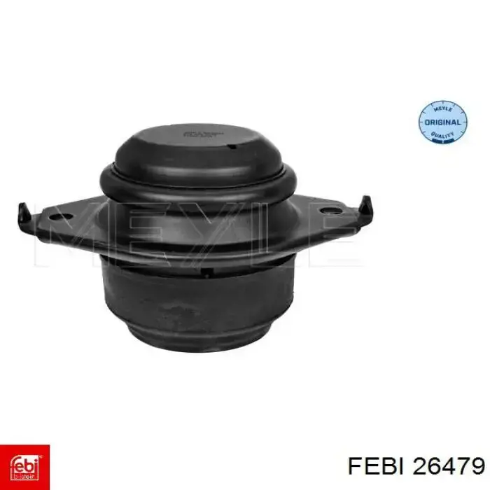 Soporte elástico, suspensión del motor, Izquierda / Derecha Cautex 756437
