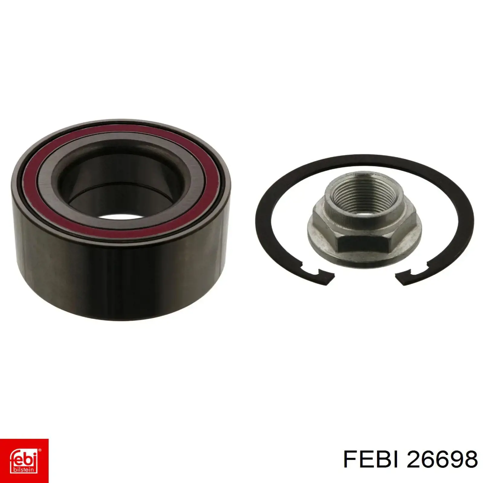 26698 Febi Correa dentada