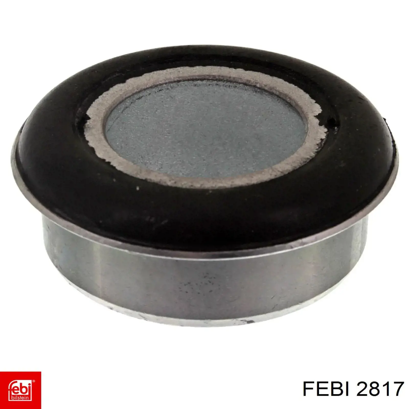 Tuerca del cubo de rueda trasera Febi 2817 precio, desde 3,42 EUR