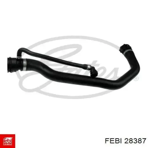 Polea rueda libre Febi 28387 precio, desde 45,69 EUR