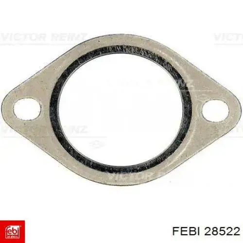 Manguera inferior del radiador Trucktec 0819124