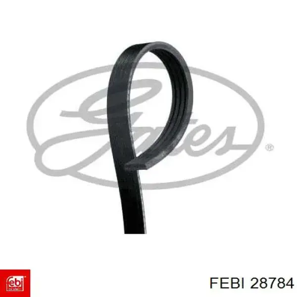 Correa de alternador 28784 Febi