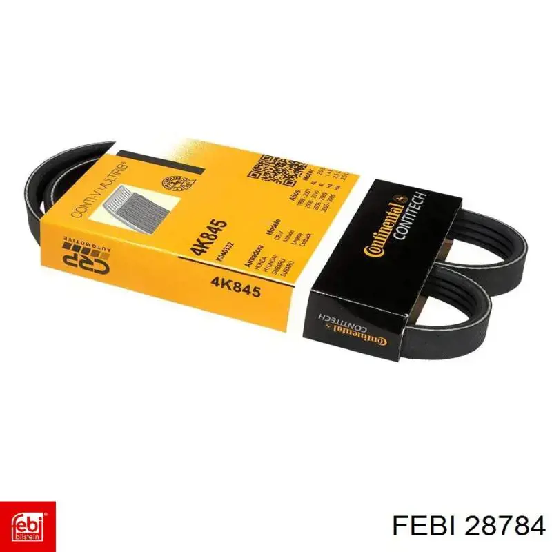 28784 Febi Correa poly v