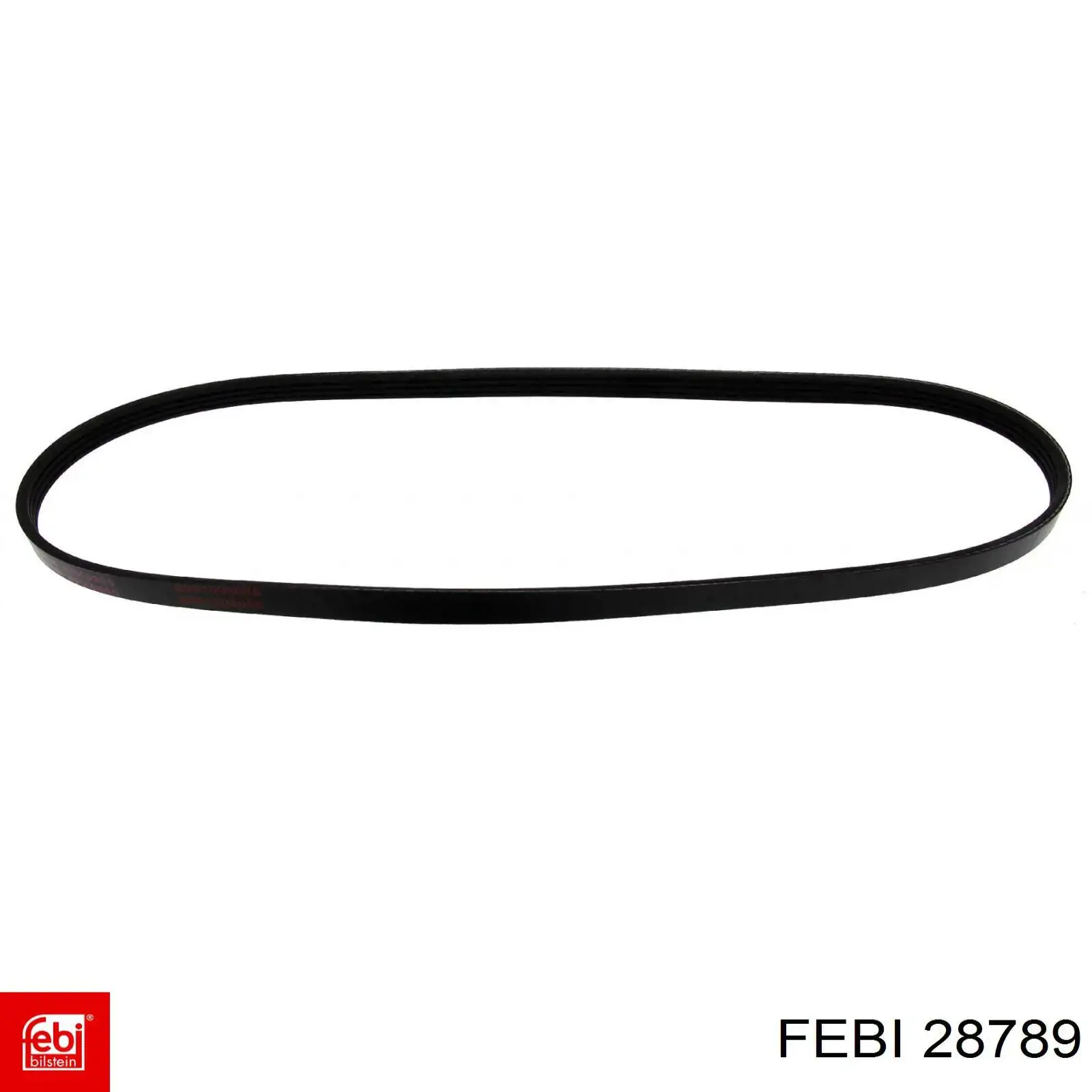 Correa trapezoidal Subaru Forester 1 S10, SF