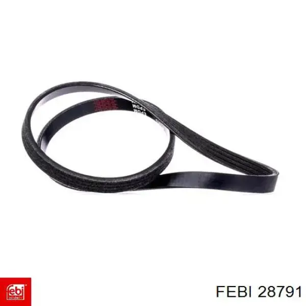 Correa de alternador 28791 Febi