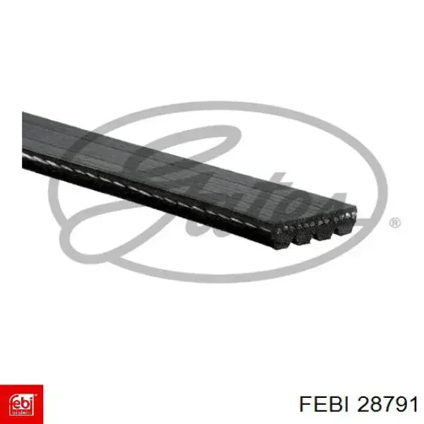 Comprar 28791 Febi Correa trapezoidal