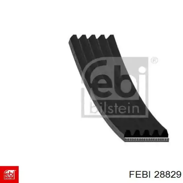 Correa de transmisión trapezoidal Febi 28829 precio, desde 8,55 EUR