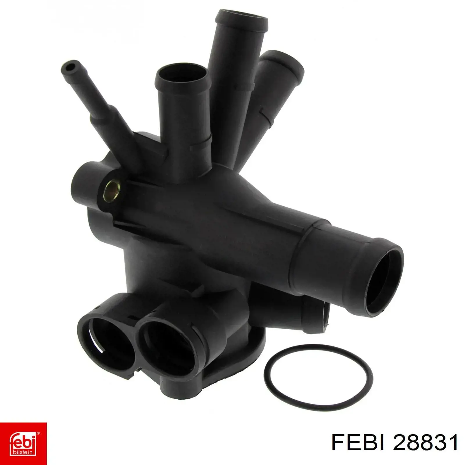 Comprar 28831 Febi Correa trapezoidal