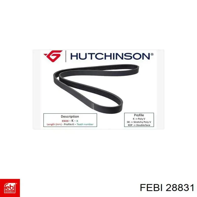 Correa de alternador 28831 Febi