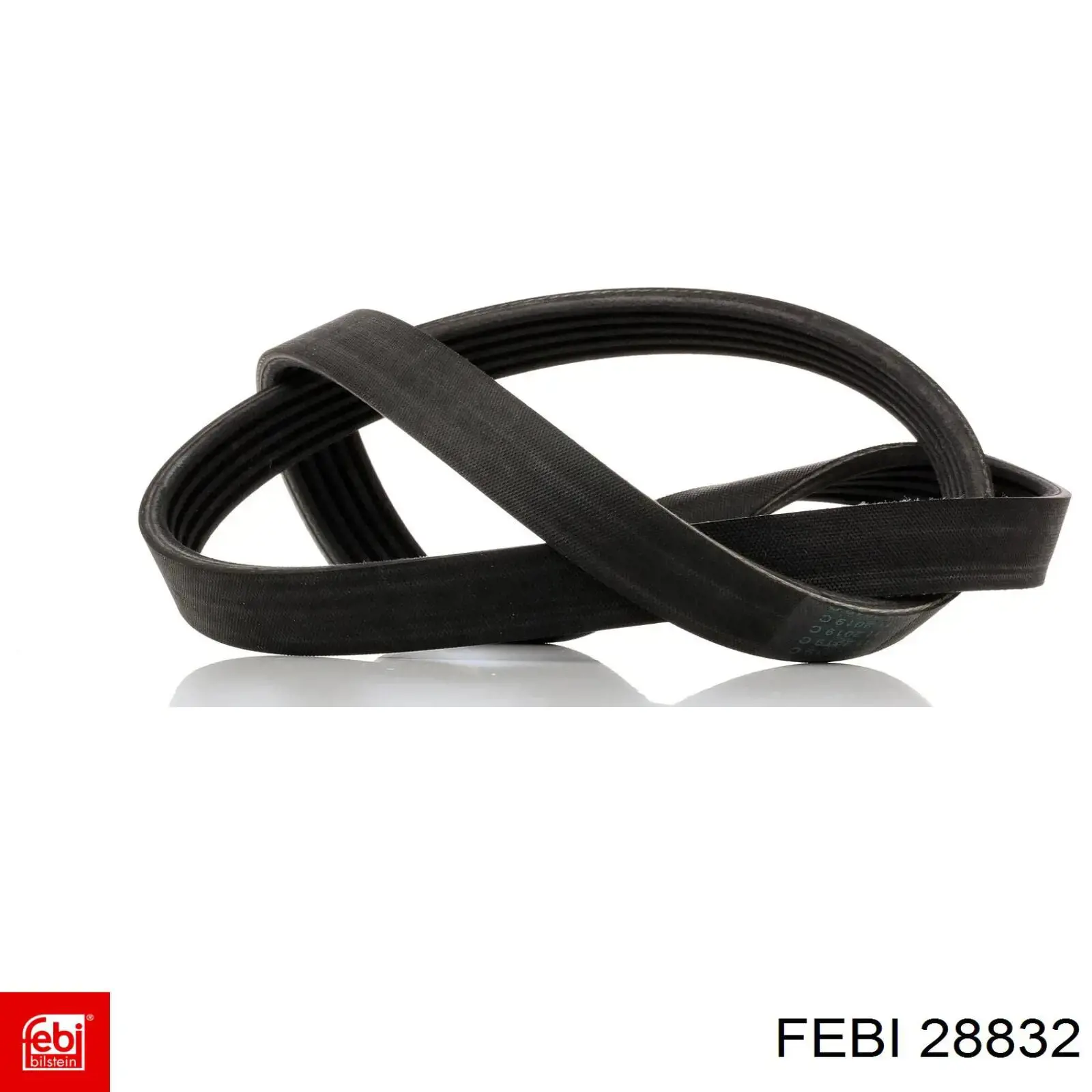 Correa accesorios Febi 28832