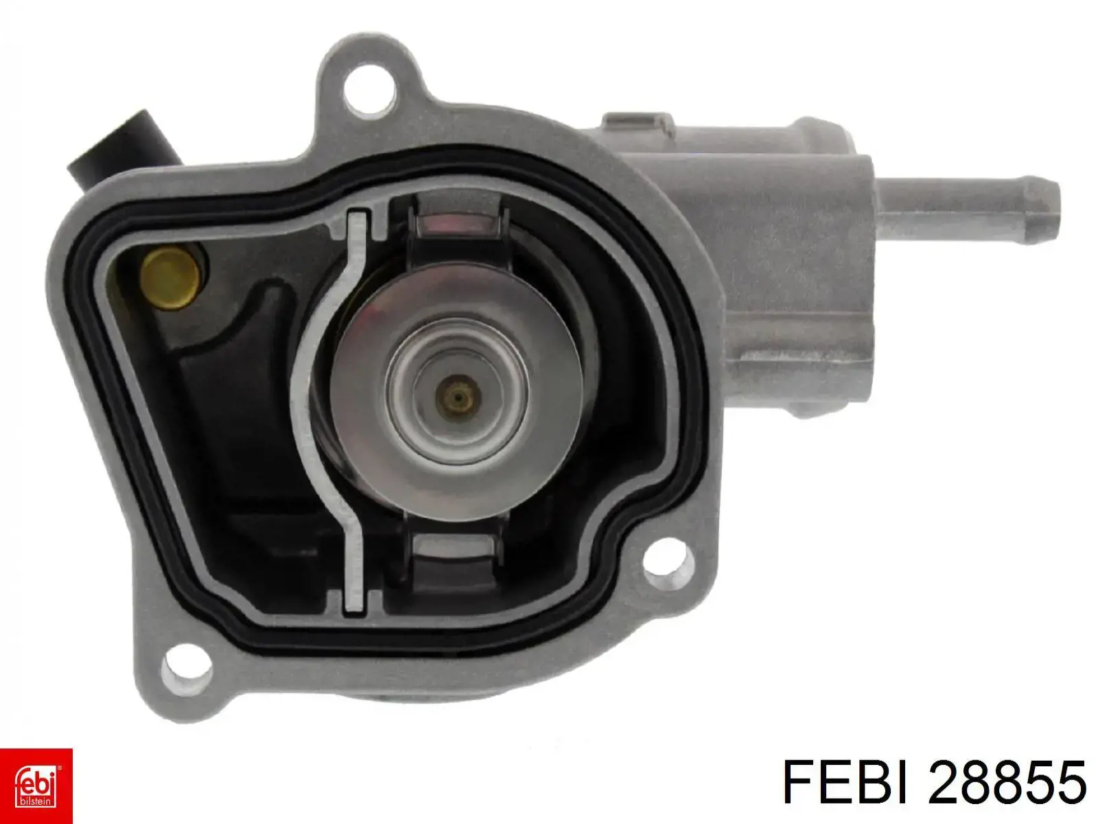 Correa de transmisión trapezoidal Febi 28855 precio, desde 10,33 EUR