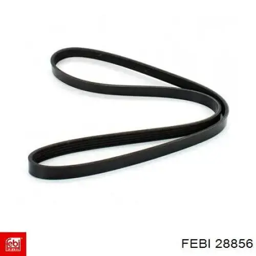 Correa de alternador 55232449 Fiat/Alfa/Lancia